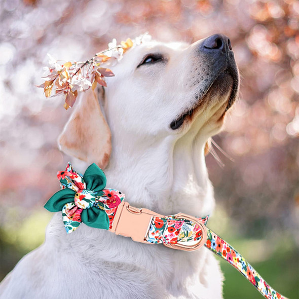 Girl Dog Collar And Leash Set, Soft Adjustable Dog Collar With Detachable Flower And Safety Buckle, Dog Collar For Large Dogs, Fit Necks: 13.4’’-21.7’’, Daluz (Collar+Leash 2Pcs)