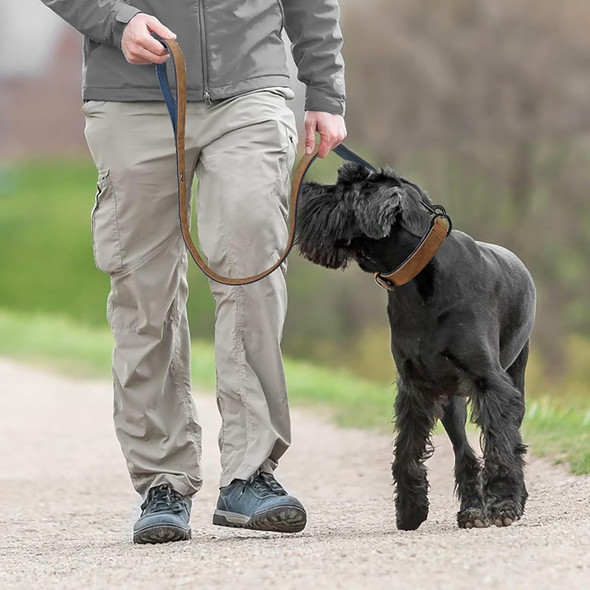 Didog Soft Padded Leather Dog Collar And Leash Set, Heavy Duty Dog Leash And Collar Set With Metal Buckle, Breathable Dog Collars With 4Ft Leather Dog Leash For Small Medium Large Dogs, Brown, Xl