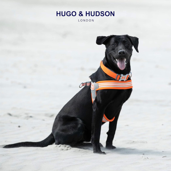 Hugo & Hudson Easy Walk Dog Harness, Adjustable Quick Dry No-Pull Pet Harness, Orange, Size 7