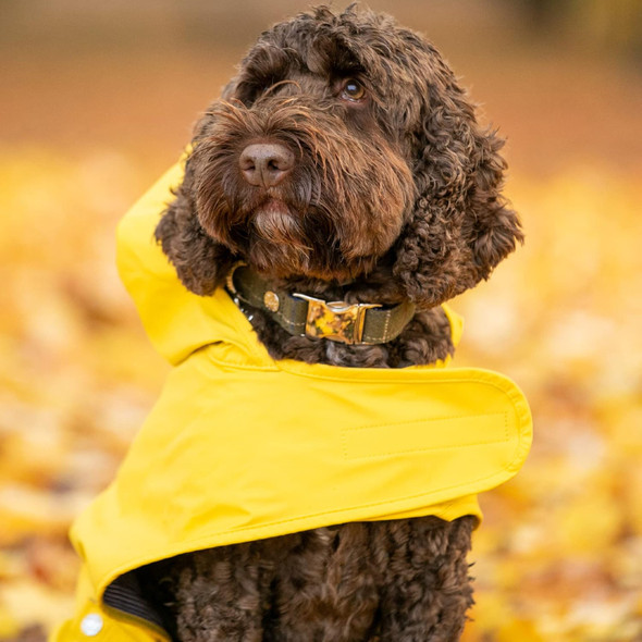 Hugo & Hudson Tweed Dog Collar Quick Release Metal Safety Buckle, Dark Green Checkered, S