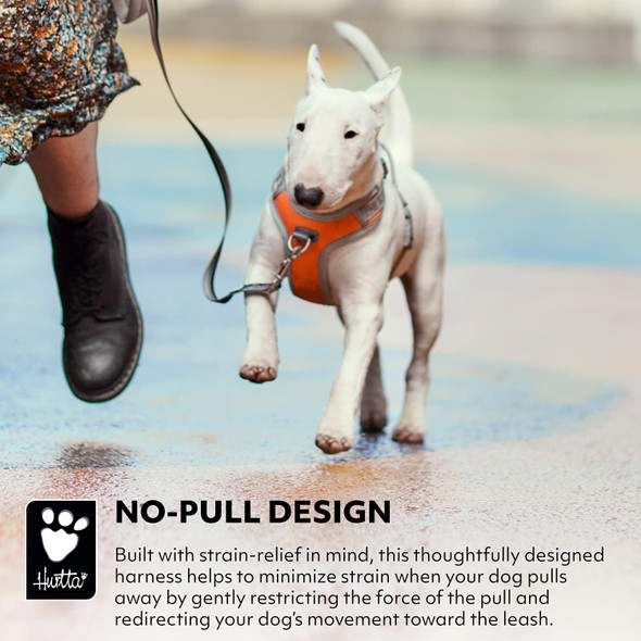 Hurtta Venture No-Pull Dog Harness, Buckthorn, 32-40 In
