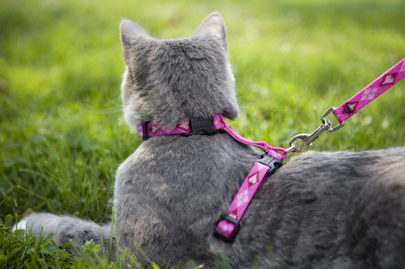 Lupinepet Originals 1/2 Wing It 9-14 H-Style Harness For Small Pets