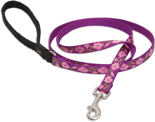 Lupinepet Originals 1/2 Rose Garden 6-Foot Padded Handle Leash For Small Pets Lupinepet Originals 1/2 Rose Garden 6-Foot Padded Handle Leash For Small Pets