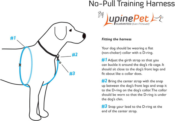 Lupinepet Originals 3/4 Rain Song 16-26 No Pull Harness For Small-Medium Dogs