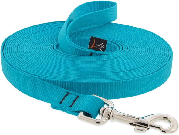 Lupinepet Basics 3/4 Aqua 15-Foot Extra-Long Training Leash For Dogs