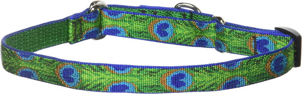 Lupinepet Originals 3/4 Tail Feathers 14-20 Martingale Collar For Medium And Larger Dogs Lupinepet Originals 3/4 Tail Feathers 14-20 Martingale Collar For Medium And Larger Dogs