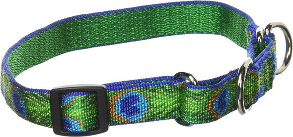 Lupinepet Originals 3/4 Tail Feathers 14-20 Martingale Collar For Medium And Larger Dogs Lupinepet Originals 3/4 Tail Feathers 14-20 Martingale Collar For Medium And Larger Dogs
