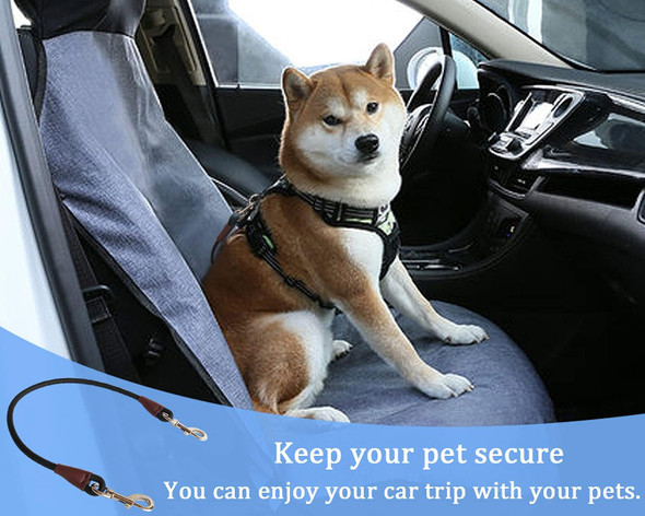 Maypaw Training Tie Down- Short Dog Tether Indoor- Strong Rope Dog Car Leash Seat Belt- 5 Sizes Vehicle Safety Restraint Lead For Small Medium Large Dogs, 19.6 Inch