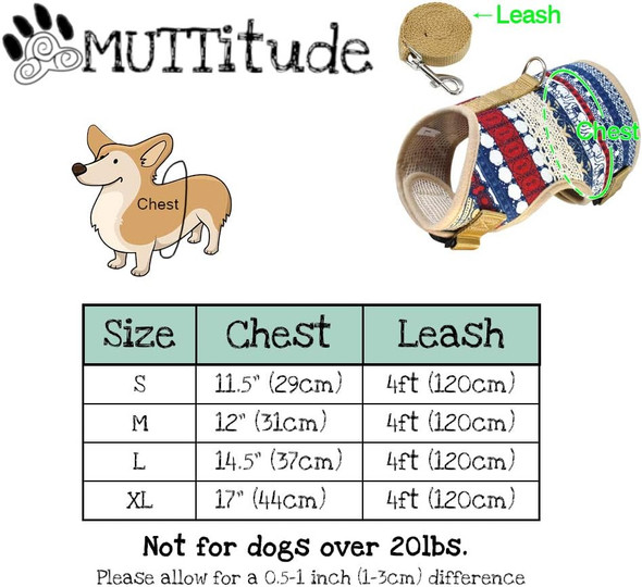 Dog Harness & Leash Set For Small Breeds (Large, Goa)