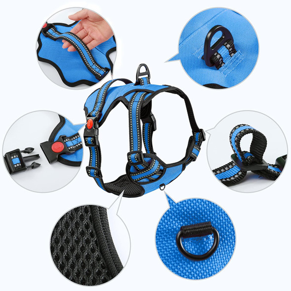 Dog Harness And Leash Set, Adjustable Reflective Soft Padded Pet Vest, No Choke Front Clip Dog Harness With Easy Control Handle For Small Medium Large Dogs, With A 5Ft Dog Leash, Blue, L