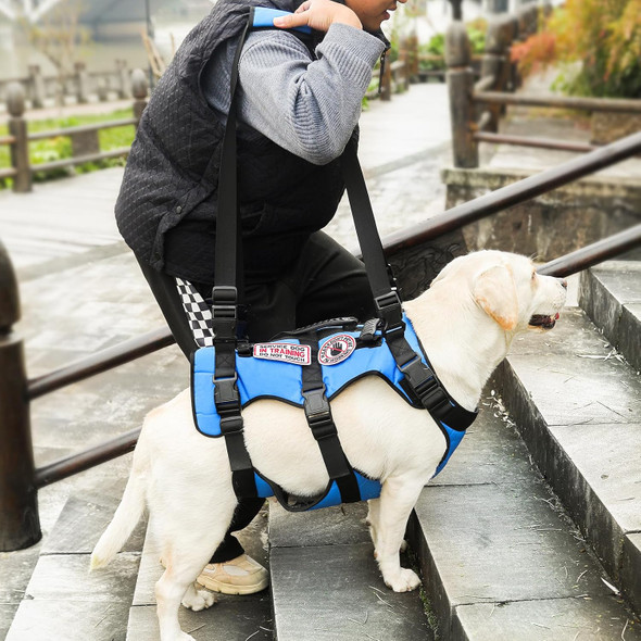 Noyal Dog Lift Harness Pet Support Rehabilitation Sling Lift Adjustable Padded Breathable Straps For Old, Disabled, Joint Injuries, Arthritis, Loss Of Stability Dogs Blue