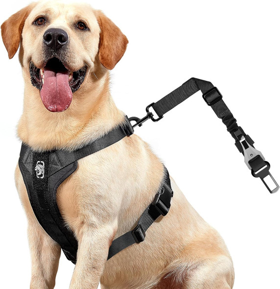 Onetigris Dog Safety Vest Harness, Rex Car Use Dog Harness Adjustable Pet Harness With Leash For Medium Large Dogs(Black,L)