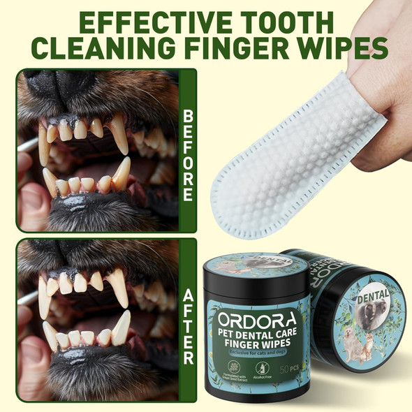Ordora Pet Teeth Cleaning Wipes For Dogs & Cats, Dog Teeth Cleaning Finger Wipes - Dog Tooth Brushing Kit Dental Wipes - Reduces Plaque & Freshens Breath (50 Pcs) Ordora Pet Teeth Cleaning Wipes For Dogs & Cats, Dog Teeth Cleaning Finger Wipes - Dog Tooth Brushing Kit Dental Wipes - Reduces Plaque & Freshens Breath (50 Pcs)