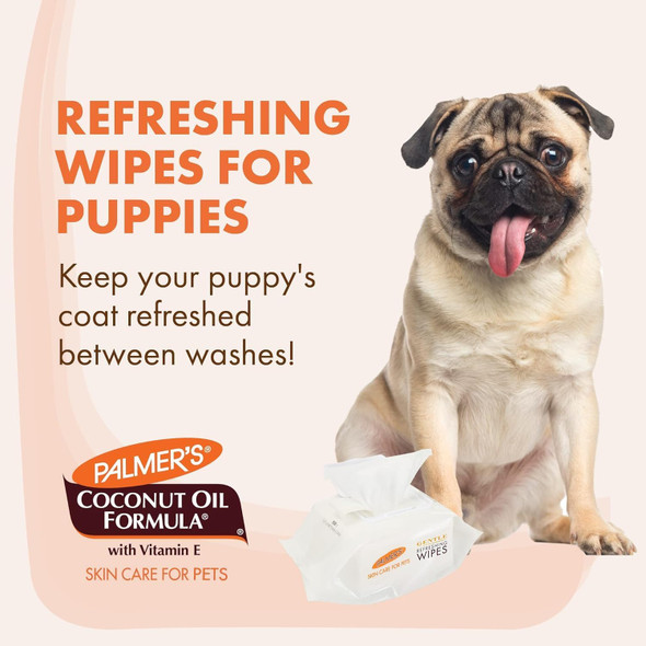 Cocoa Butter Refreshing Dog Wipes, 100 Ct Cocoa Butter Wipes For Dogs Paraben & Phthalate Dog Grooming Wipes For Dogs, Palmers Dog Bath Wipes