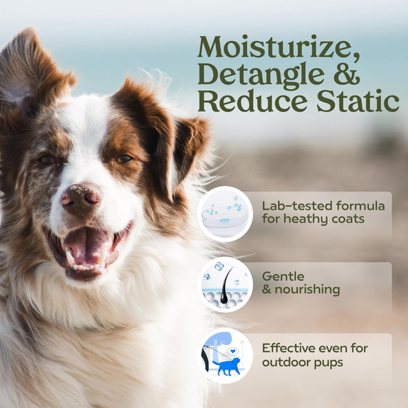 Pawfume Premium Grooming Spray Dog Spray Deodorizer Perfume For Dogs - Dog Cologne Spray Long Lasting Dog Sprays - Dog Perfume Spray Long Lasting After Bath- Dog Deodorizing Spray (Blue Ribbon)