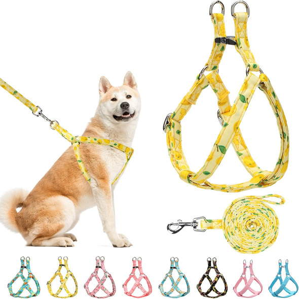 Pawchie Dog Harness And Leash Set, No Pull Dog Vest Harness For Small Medium Dogs Puppies, Adjustable Heavy Duty Halter Harnesses With Cute Patterns