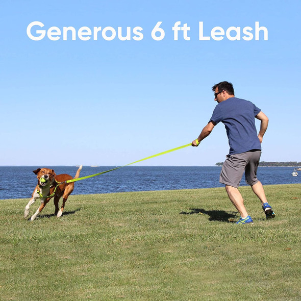 Pawtitas 6 Ft Pet Puppy Leash Reflective Dog Leash Comfortable Handle Highly Reflective Threads Heavy Duty Dog Training Leash Available As A 6 Ft Small Dog Black Leash