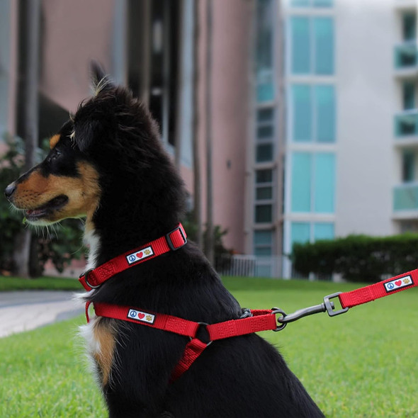 Pawtitas Value Bundle Set Step In Dog Harness + Small Dog Collar + Extra Small/Small 6Ft Dog Leash - Pink Set