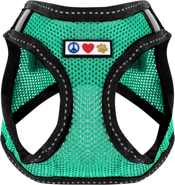 Pawtitas Dog Vest Harness Made With Breathable Air Mesh All Weather Vest Harness For Extra Small Puppies And Large Cats With Quick-Release Buckle - Extra Small Teal Mesh Dog Harness
