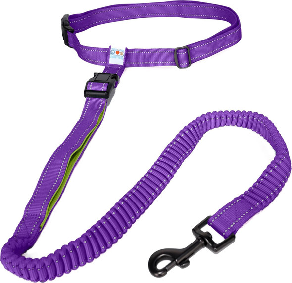 Pawtitas Hands Dog Leash Running Leash For Dogs Create A Pet Exercise Routine With The Dog Running Leash Hands Enjoy The Walking Or Jogging Accessory Bungee Dog Leash Purple Dog Leash