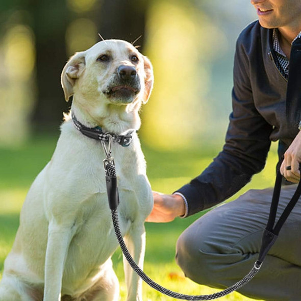 Marvelous Strong Dog Leash With Comfortable Nylon Handle And Highly Reflective Threads For Large And Medium Dogs (Red)