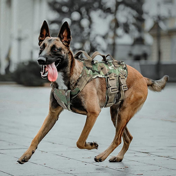 Petac Gear Tactical Dog Harness No Pull For Large Working Dogs Military Dogs Vest Police Service Training Dogs Molle Harnesses With Handle … …