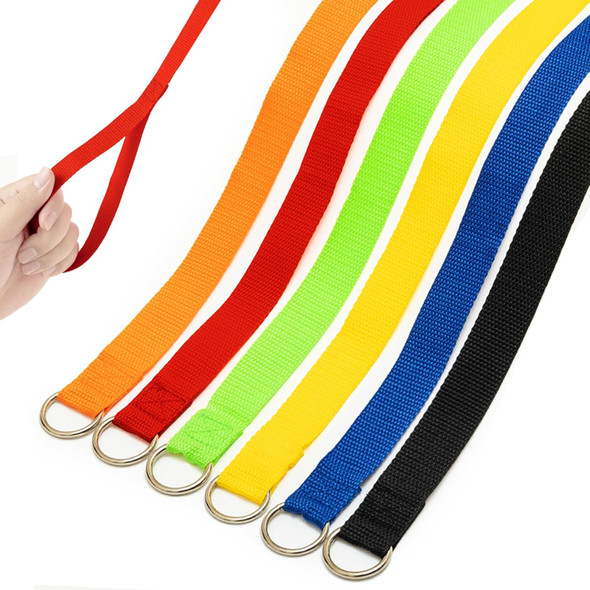 6 Pcs Slip Lead Dog Leash, 6 Ft Short Dog Leash With O-Ring For Walking Rescues Training Running Grooming Shelter, Strong Dog Leashes Control Small Meidum Large Dogs/Puppy