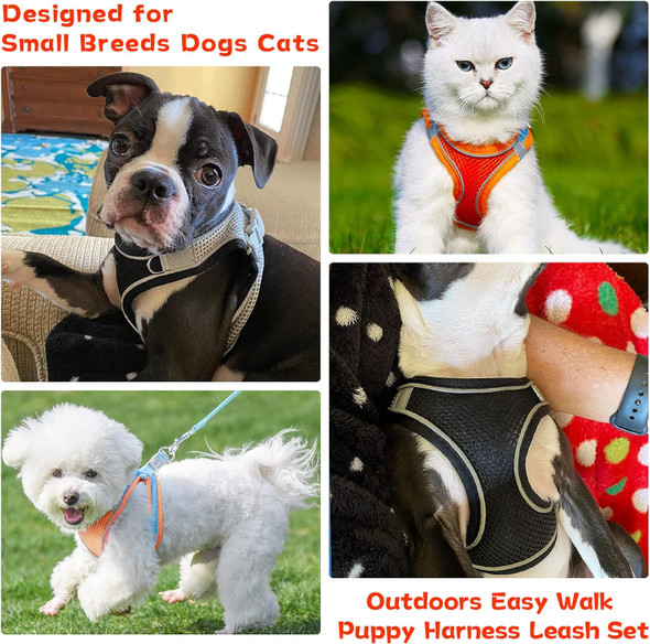 Soft Small Dog Harness And Leash Set Step In Air Mesh Puppy Harness Leash Easy Walk Dog Harness Vest Adjustable Reflective No Pull Dog Harnesses For Small Dogs Cats (Black,Xxs)