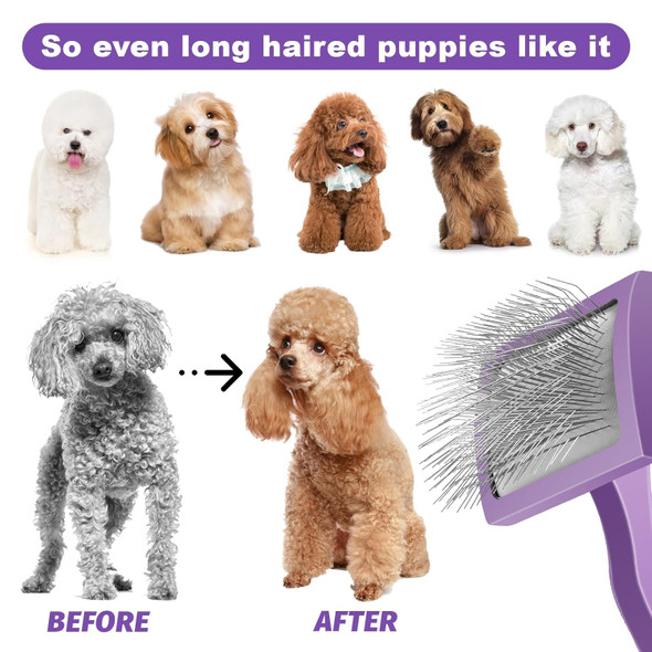 Dog Slicker Brush, Small Dog Brush, Professional Doodles Brush, For Poodles, Goldendoodles And Labradoodles, Easy To Remove Tangles, Mats And Fluff, Purple Dog Slicker Brush, Small Dog Brush, Professional Doodles Brush, For Poodles, Goldendoodles And Labradoodles, Easy To Remove Tangles, Mats And Fluff, Purple