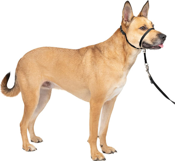Petsafe Gentle Leader No-Pull Dog Headcollar - The Ultimate Solution To Pulling - Redirects Your Dog'S Pulling For Easier Walks - Helps You Regain Control - Medium, Black
