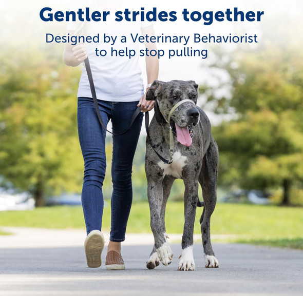 Petsafe Gentle Leader No-Pull Dog Headcollar - The Ultimate Solution To Pulling - Redirects Your Dog'S Pulling For Easier Walks - Helps You Regain Control - Medium, Black