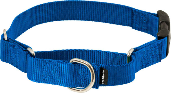 Petsafe Martingale Dog Collar With Quick-Snap Buckle - Large, 1 Inch, Royal Blue