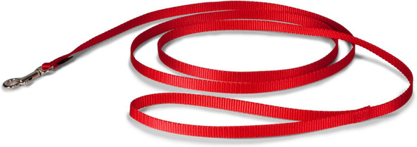 Petsafe Nylon Dog Leash – Strong, Durable, Traditional Style Leash With Easy To Use Bolt Snap For Small, Medium And Large Dogs – 3/8 X 6', Red