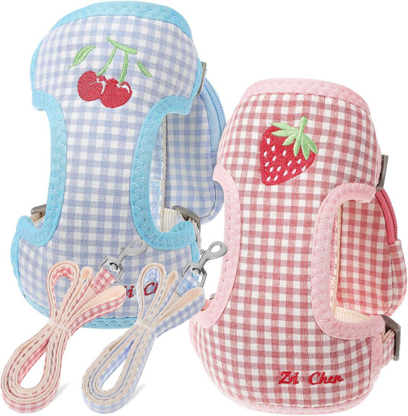 Popetpop Dog Backpack Harness - 2Pcs Dog Harness And Leash Set No Pull Puppy Harness Dog Backpack For Dogs To Wear Breathable Dog Vest Harness Pet Harness For Small Dogs Walking