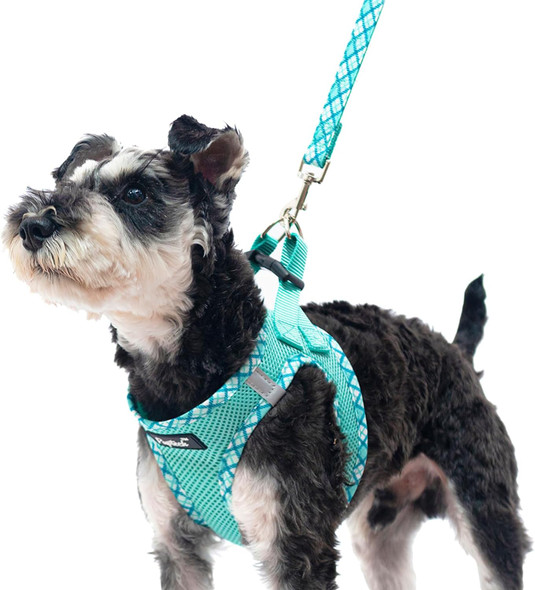 Pupteck Dog Harness And Leash Set For Small Medium Dogs No Pull Step-In Soft Mesh Puppy Cat Vest Harnesses Reflective At Night, Green S