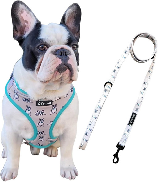 French Bull Dog Vest Harness With Matching Leash, Breathable Mesh Interior Liner, 4 Adjusting Buckles To Get The Perfect Frenchie Fit (Small)
