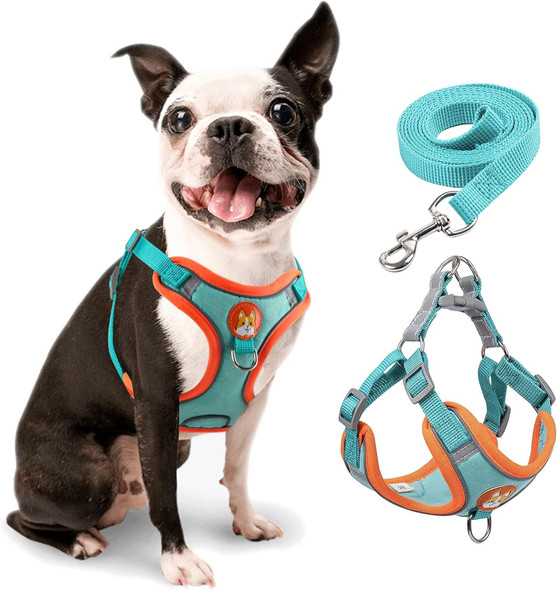 Rennaio Dog Harness No Pull, Adjustable Puppy Harness With 2 Leash Clips, Ultra Comfort Padded Dog Vest Harness, Reflective Dog Harness And Leash Set For Small And Medium Dogs (Vibrant Blue, M)