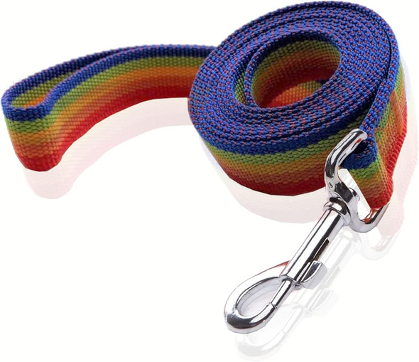 Nylon Dog Leash 10 Feet Long, Walking Training Dog Leashes For Medium Large Dogs, 1 Inch Wide (Rainbow)