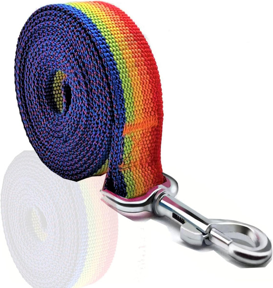 Nylon Dog Leash 10 Feet Long, Walking Training Dog Leashes For Medium Large Dogs, 1 Inch Wide (Rainbow)
