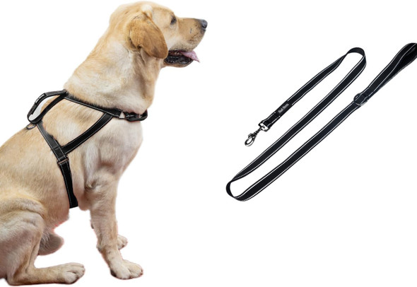 Dog Harness & Leash Set, No Pull Dog Harness With 2 Adjustable Points & 1 Leash Clip, Reflective Comfortable Dog Vest With Easy Control Handle Ideal For Walking And Training, Black,L