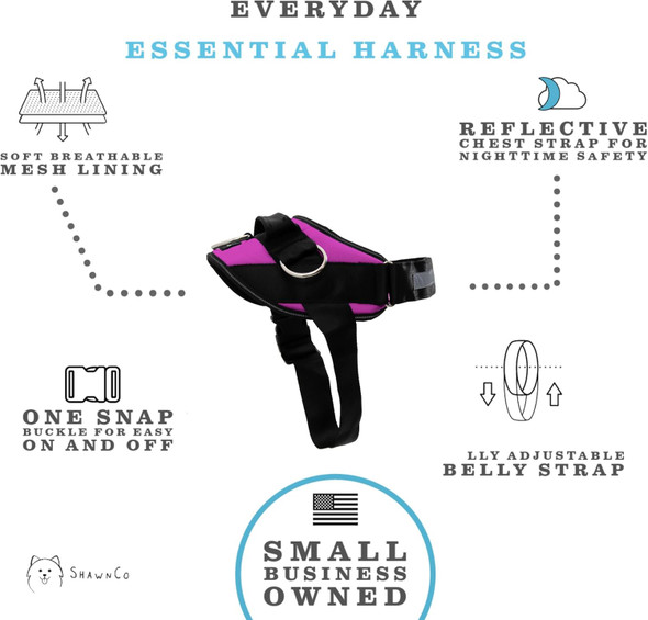 Shawnco Essential Harness, Leash & Collar Set (Orchid, Xl)