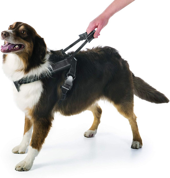 Sherpa Dog Harness, Built-In Quick Grab Handle, Padded - Black, Medium