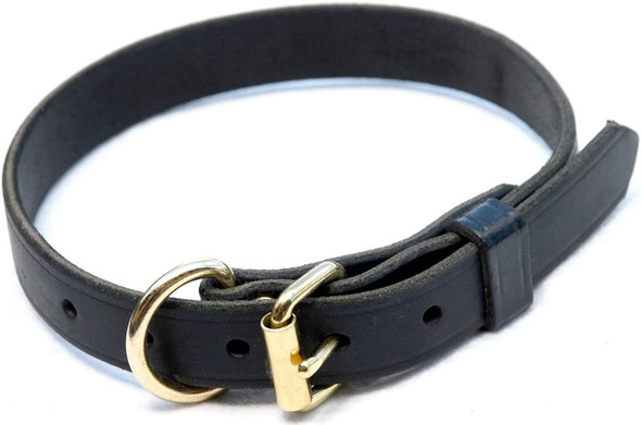 Ray Allen Mfg Signature K9 Adjustable Leather Collar, 18-22-Inch, Black