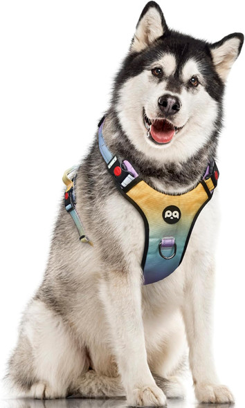 Led Dog Harness, Lighted Up Dog Harness, No-Pull Dog Harness With 2 Leash Clips, Adjustable Soft Padded Dog Vest, Reflective No-Choke Pet Oxford Vest With Easy Control Handle (Rainbow, Extra Large)