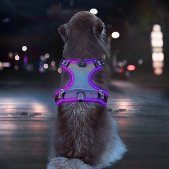 Led Dog Harness, Lighted Up Dog Harness, No-Pull Dog Harness With 2 Leash Clips, Adjustable Soft Padded Dog Vest, Reflective No-Choke Pet Oxford Vest With Easy Control Handle (Rainbow, Extra Large)