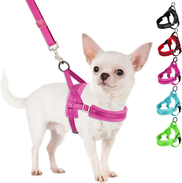 Slowton No Pull Small Dog Harness And Leash Set, Puppy Soft Vest Harness Neck & Chest Adjustable, Reflective Lightweight Harness & Anti-Twist Pet Lead Combo For Small Medium Dogs (Fuchsia, Xxs)