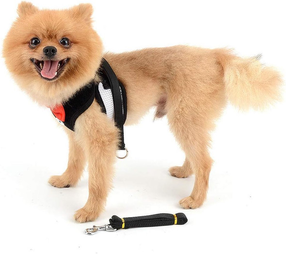 Smalllee_Lucky_Store Bowtie Small Dog Tuxedo Harness For Puppy Boy, Adjustable Soft Mesh Cat Harness Vest Leash Set Black L