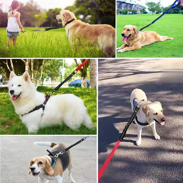Bungee Dog Leash Extension Attachment, 18” Shock Absorbing Lead Extension Absorber, Prevent Injury On Arm And Shoulder & Save Dogs From Getting Hurt, Great For Bicycle, Running, Walking
