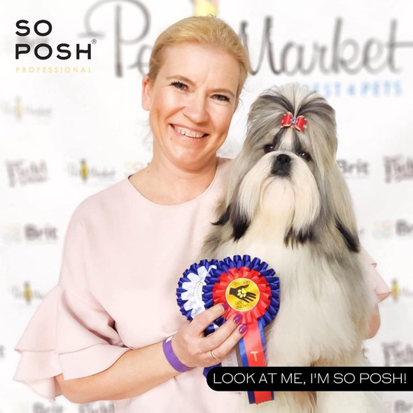 So Posh Look At Me Dog Detangler Spray Dematting - Bi-Phase Brushing Spray, Effortlessly Detangles & Softens, Time-Saving, Of Silicone & Parabens, 8.4 Oz