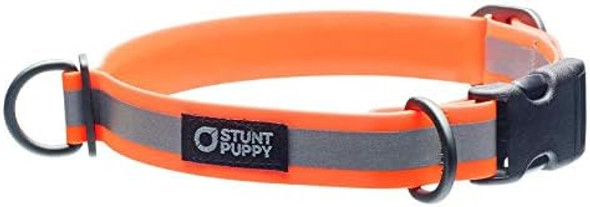 Go Dog Glo Dry Dog Collar, Orange